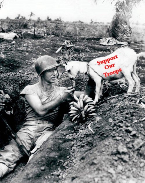 Military Industrial Complex