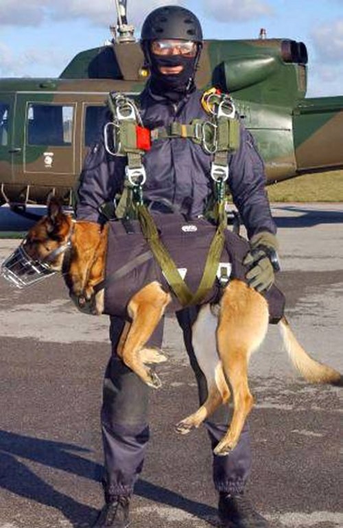 2013 Tooth Fairy with Radioactivity Sniffer Dog