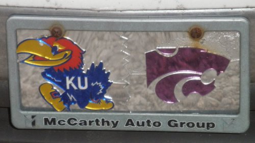 I believe the purplish design on the right side of the thing is a stylized version of the parrot-head.  A sort of modern-Kansas equivalent of an ancient Egyptian Eye of Horus.  But what the hell do I know?