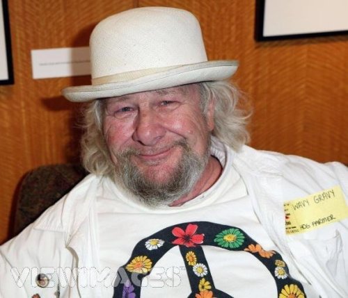 wavy gravy
