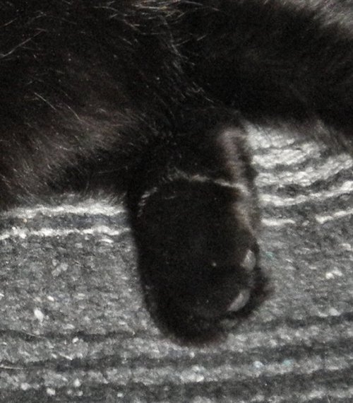 mr midnight bracelet