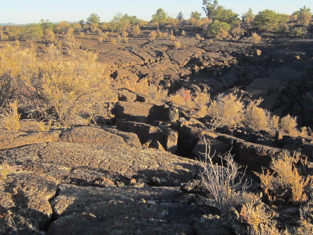 This image has an empty alt attribute; its file name is img_0008.jpg