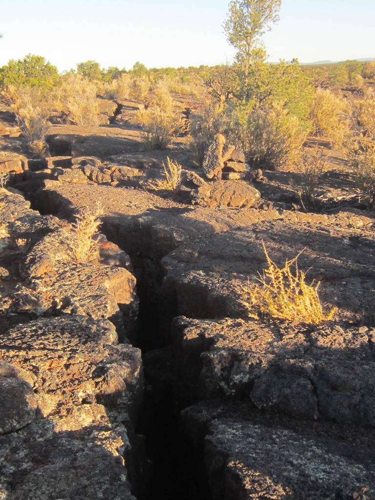 This image has an empty alt attribute; its file name is img_0010-1.jpg